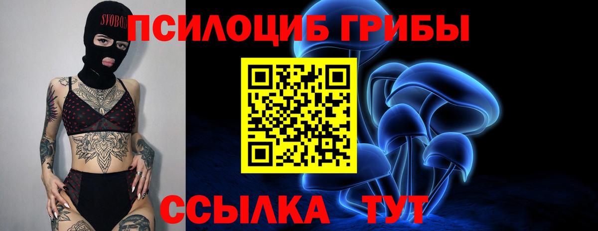 Псилоцибиновые грибы Magic Shrooms Алексин